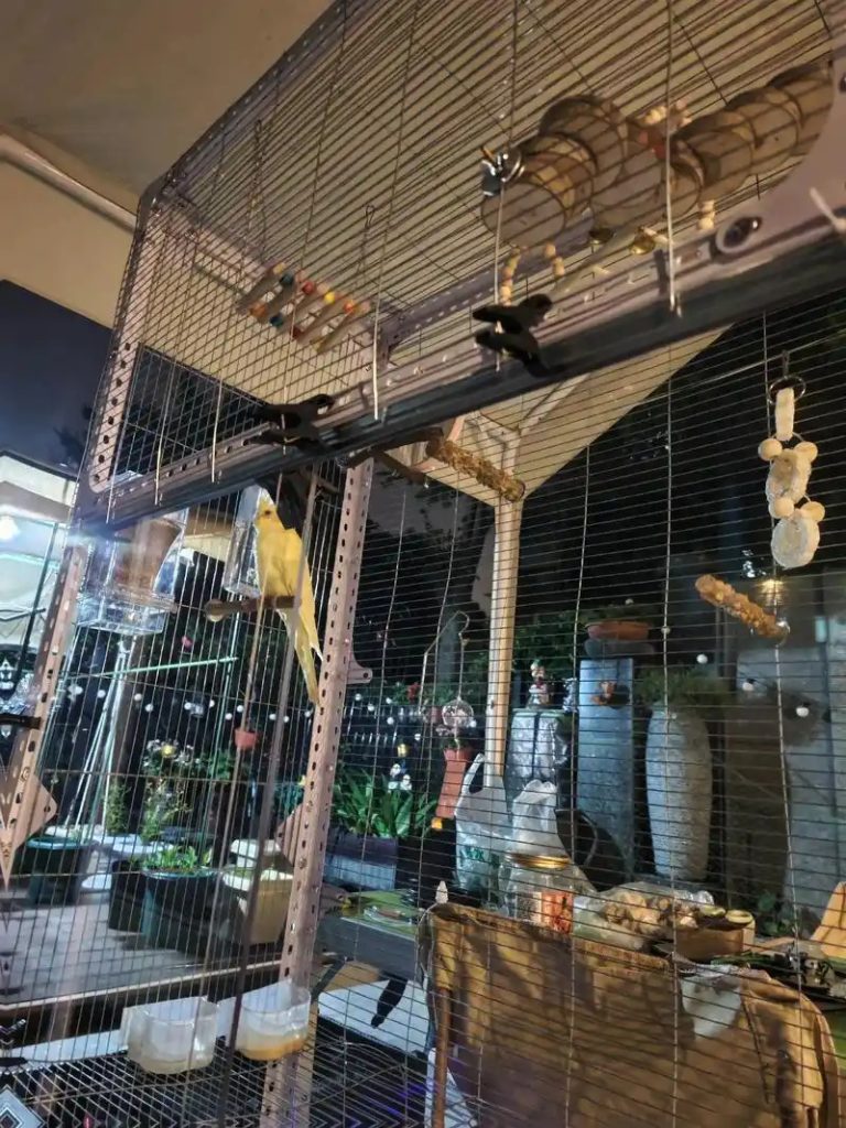 Best-Parrot-Cage-Accessories