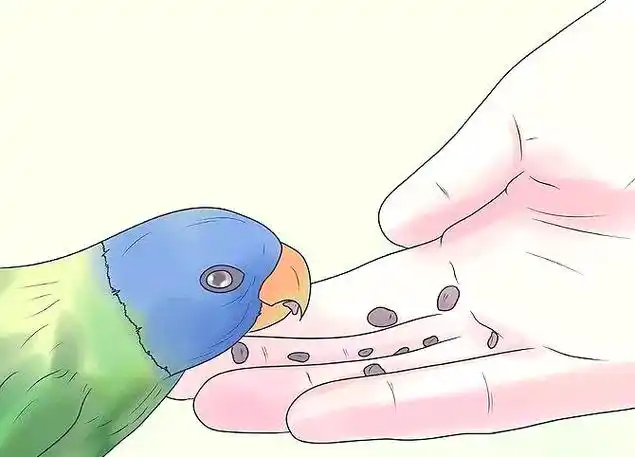 How to Stop Your Parrot from Biting: Practical, Compassionate Solutions