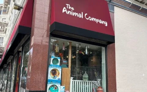 San Francisco Pet Parrot Store Address and Phone Number