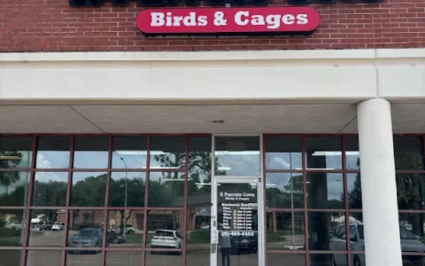 Where in Houston can I buy a parrot?