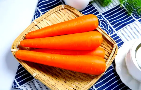 Can Green-Cheeked Conures Eat Carrots?